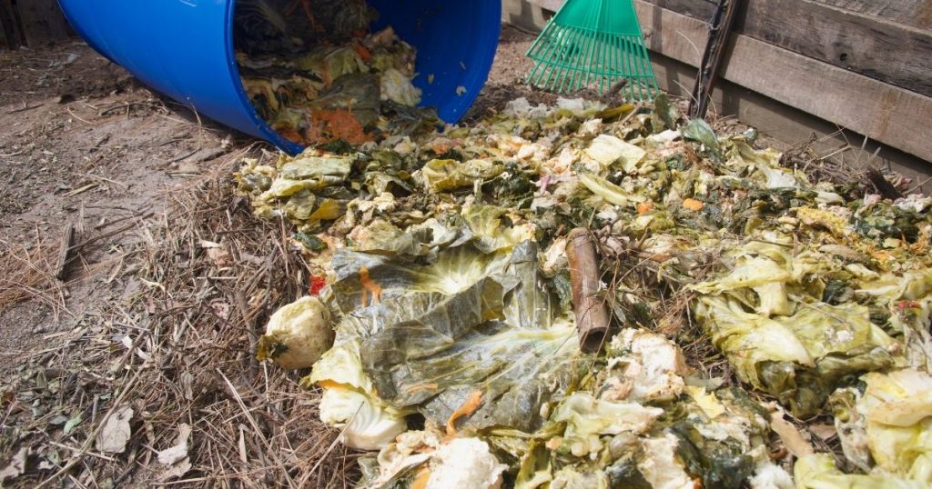 Commercial food waste separated at source before treatment with an Earth Probiotic system